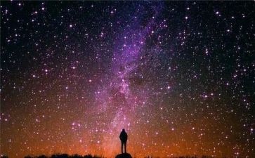 不怕冷的我教案8篇