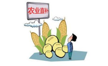 求职申请补贴申请书模板5篇