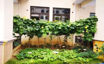 介绍鲁菜的演讲稿8篇