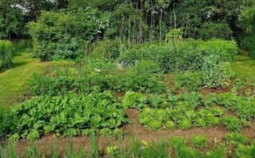 介绍鲁菜的演讲稿模板6篇