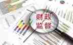 2024财政半年度工作总结最新6篇