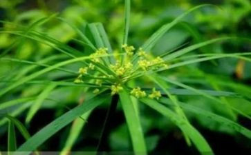 烟草公司2023年工作总结5篇