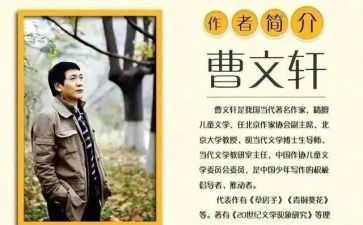 曹文轩的房子读后感8篇