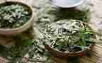 与茶有关的调查报告推荐7篇