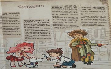 查理九世的读后感5篇