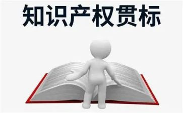知识产权宣传活动总结6篇