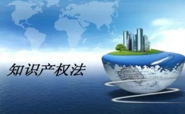 知识产权庭工作总结5篇