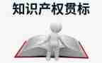知识产权宣传活动总结6篇