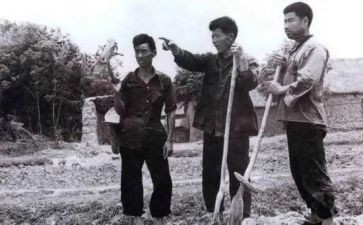 承包山场合同6篇