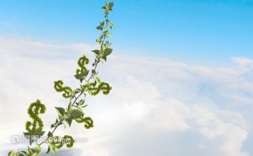 感悟成长类的作文优质6篇