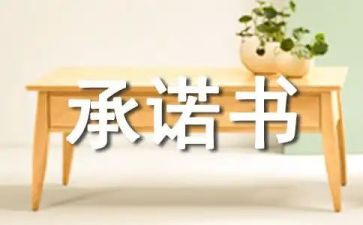 合同承诺书通用8篇