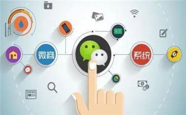 程序的工作总结8篇