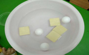 沉与浮的游戏教案7篇