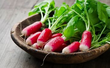 小兔吃萝卜教案8篇