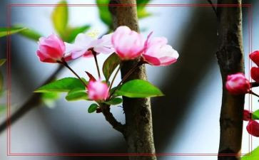 写春天作文6篇