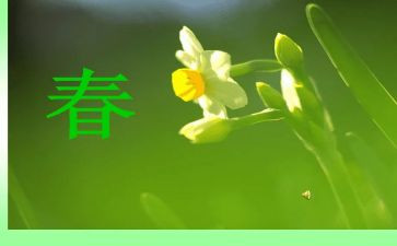 过春节作文400字作文参考7篇