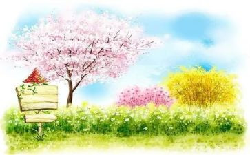 教师春期个人工作计划7篇