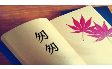 匆匆的心得体会800字8篇