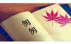 匆匆的心得体会800字8篇