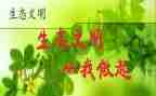 安全从我做起的演讲稿最新8篇
