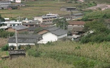 2024年村主任助理述职报告5篇