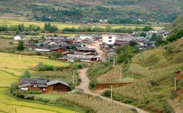 2024年村社区工作总结参考7篇