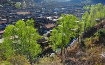村会计述职报告范文推荐5篇