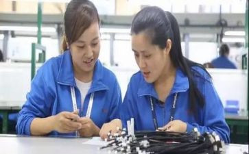导师带徒制个人总结5篇