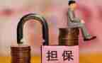 个人借款担保合同模板6篇
