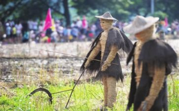 写《稻草人》读后感优秀8篇