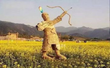 稻草人《贼》的读后感优质8篇