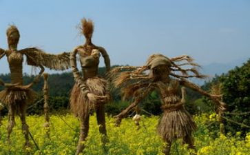 写《稻草人》读后感优质5篇