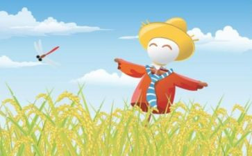 稻草人书的读后感300字7篇