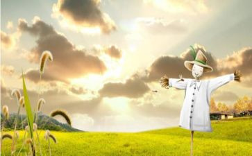 写《稻草人》读后感7篇