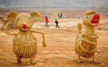 稻草人《贼》的读后感通用8篇