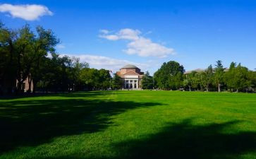 大学食堂的调查报告7篇