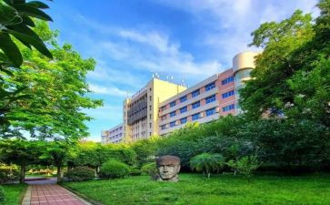 自我鉴定大专500字8篇