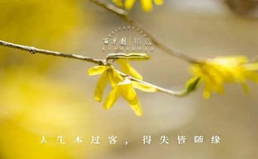 正确面对得与失演讲稿6篇