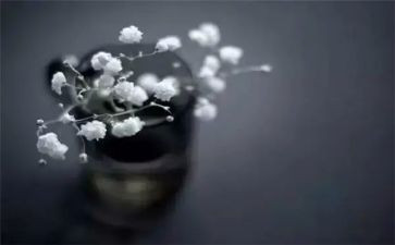 成长的得与失作文6篇