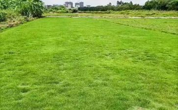 工地拆承包合同6篇