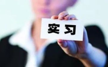顶岗实习总结3000字6篇
