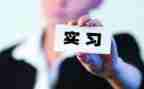 顶岗实习总结3000字6篇