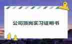 大学生顶岗实习总结范文7篇