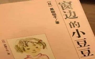 小豆豆的书读后感作文8篇