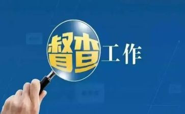 局督查科个人工作总结8篇