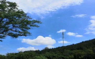 我对不起你作文600字模板5篇