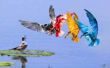 多彩的活动优秀作文5篇