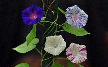 多彩的活动优秀作文优秀6篇