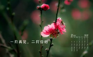 2024年二月工作总结6篇