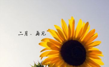 幼儿园中班二月份工作总结6篇